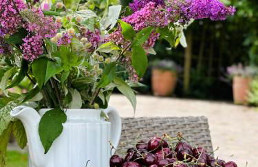 Altländer Obsthof - Photo 4