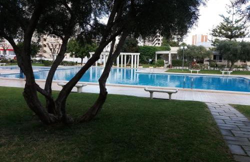 Beautiful apartment beach Playa San Juan - Photo 34