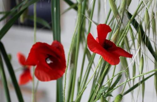 Casa San Martino - Foto 34