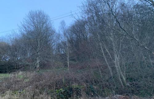 Chestnut Lodge - a woodland escape near the city! - Foto 22