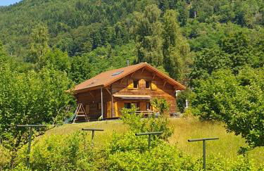 CHALET DES CHARBONNIERS AVEC ETANG - 5 chambres - - Foto 6