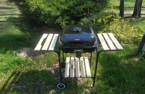 Linia brzegowa prywatny pomost własny kajak hamaki grill ognisko kominek w domu taras Domek dla 6 osób nad samą wodą BRZÓZKI 1 - Foto 14