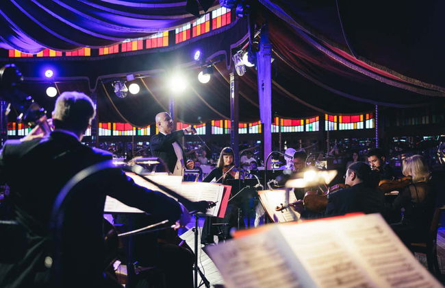 Concert de Strauss avec dîner dans le Prater - Photo 3