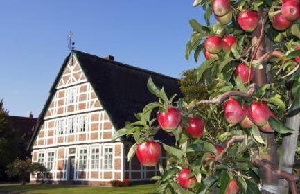 Appartement Jork Altes Land bei Hamburg direkt an der Elbe - Photo 16