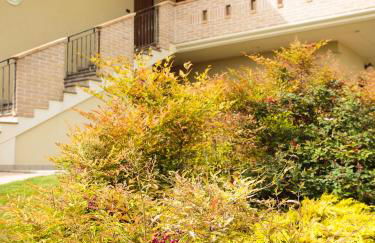 Hotel Residence Eden - Foto 60