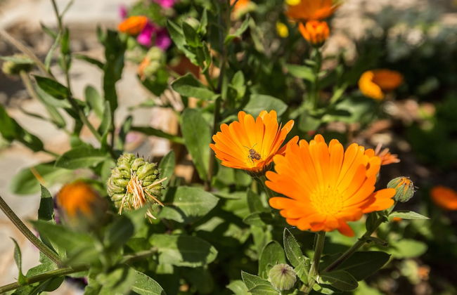 Splendid Views from a Cozy Cottage with a Garden Terrace - Foto 36