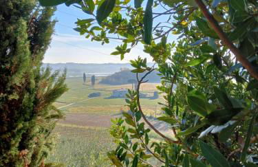 Agriturismo La Pineta - Foto 24