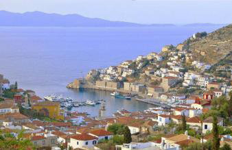 Hydra Erato - Foto 34