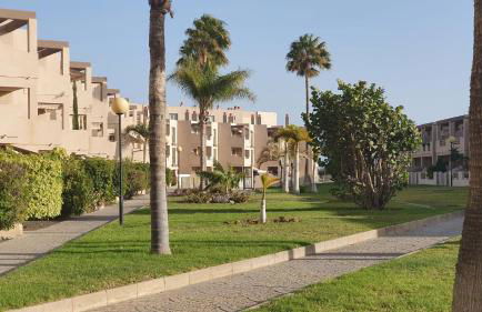 Friendly Tejita - Foto 3