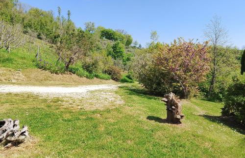 Agriturismo Bellavista - Foto 21