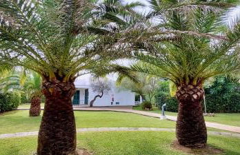 Apartamento Las Golondrinas - Foto 12