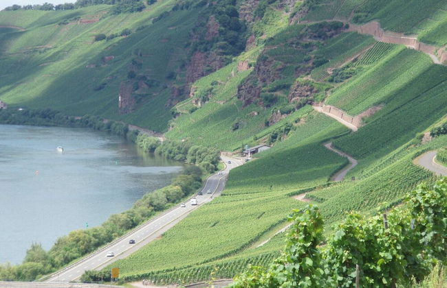 Vineyard View Romantic Stay - Foto 18