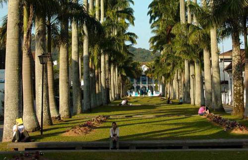 Curitibanos - Foto 20