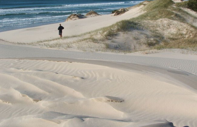 Seymour Waves - Photo 14