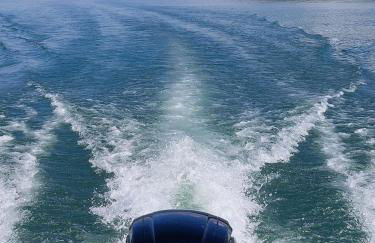 Exclusive Lakefront Retreat on Douglas Lake - Photo 2