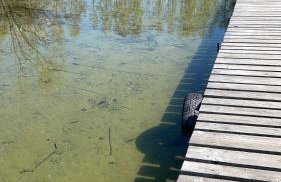 Między Wodami - Foto 76