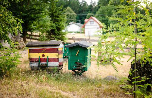 Agroturystyka Stara Huta - Foto 69