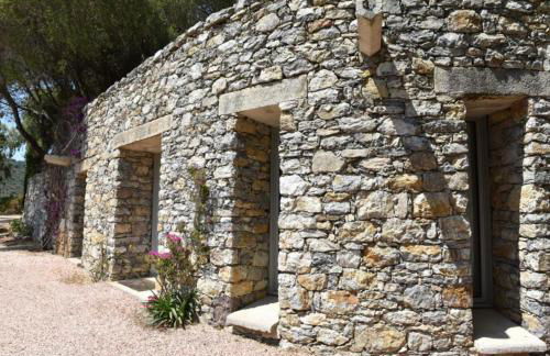 Domaine Panciarella - Foto 23