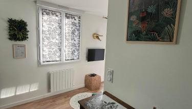 STUDIO JUNGLE - HYPEr CENTRE LORIENT - Foto 3