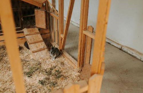 Familienhof Waida - Foto 24