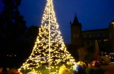 Château des Janroux - Foto 45