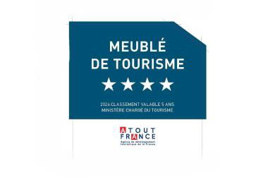 Maison familiale Blois piscine et SPA - Foto 42