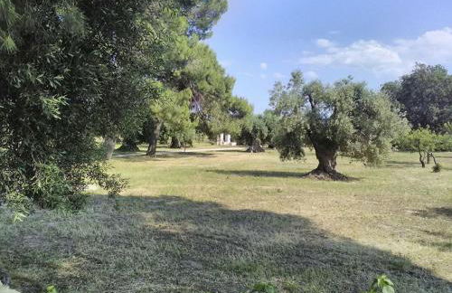 grottedisileno - Foto 9