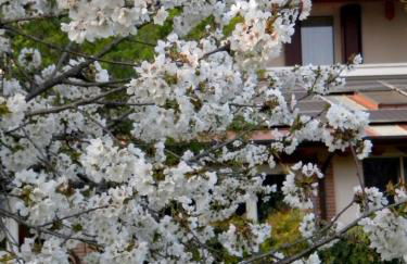 Agriturismo Il Magicorto - Photo 15