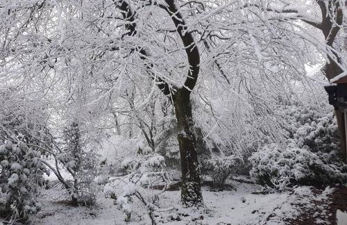 Acorn Lodge Luxury Retreat In a Stunning Oasis With Hot Tub - Pass the Keys - Foto 79