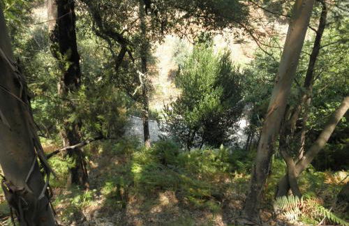 Casa Velha - Foto 24