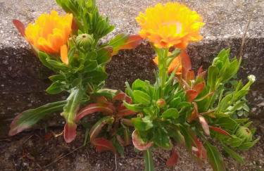 Villa Melpo - Foto 32