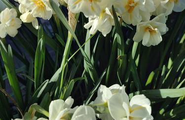 Le Gîte des Trois Seigneurs - Photo 24