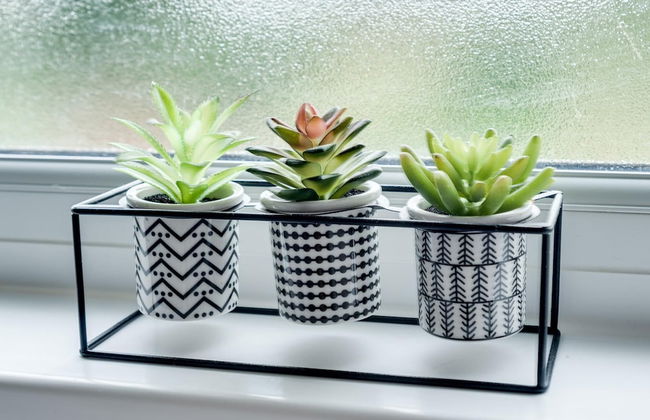 Cheerfull 3-bedroom Home With Parking Garden - Foto 16