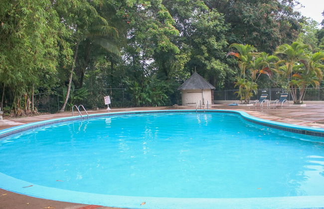 The Blue Mahoe Treehouse - Photo 27