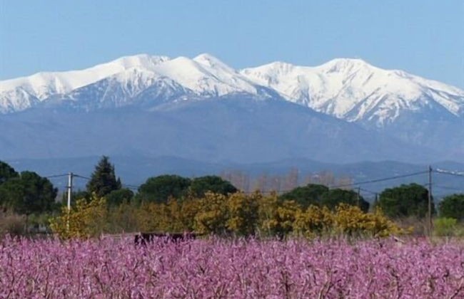 Château D'ortaffa - Photo 20