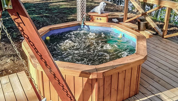 Erätorsa - Foto 4, Inside other