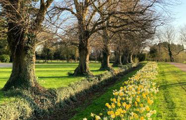 Shepherdshut-hot Tub-cotswolds-petfriendly - Photo 51