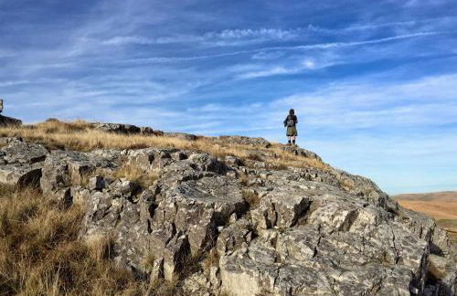 Snug Oak Hut with a view on a Welsh Hill Farm - Photo 24
