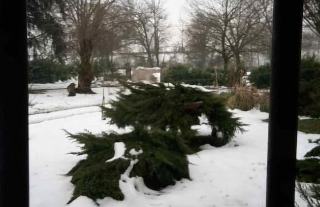 Agriturismo Dosso al Porto - Foto 43