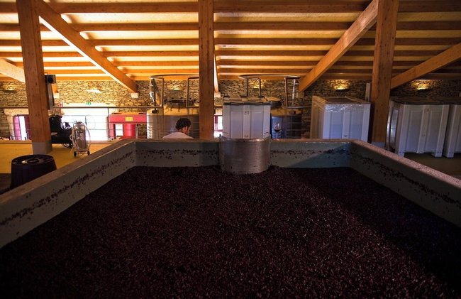 QUINTA DA FAISCA - Agro Turismo - Foto 9