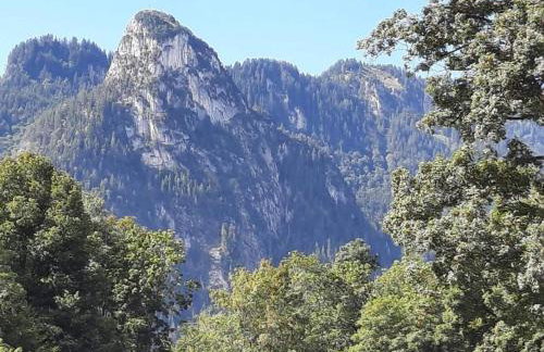 Gemütliche Alpenwohnung in Altenau - Foto 3