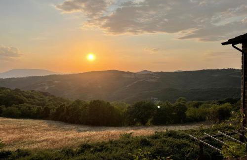 GuestHost - Casale dei Tramonti - Nature's Haven Apartments in Renovated Farmhouse with Pool - Photo 37