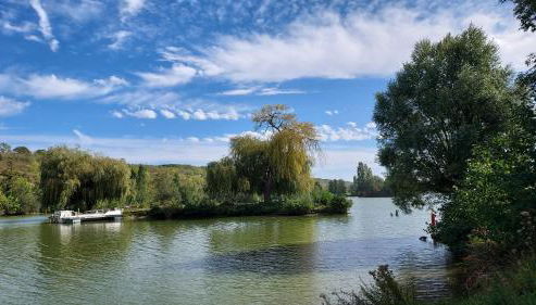 Charmante Villa près de Paris - Foto 5