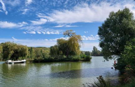 Charmante Villa près de Paris - Foto 5