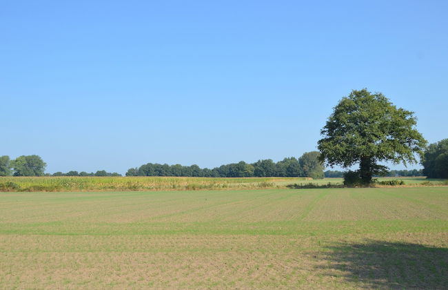 Farmhouse in Geesteren Near Forests - Foto 15