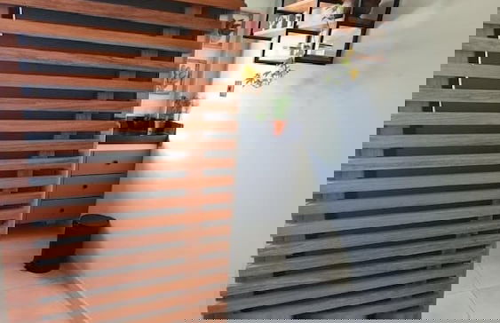 Solar Agua Pipa Stays - Foto 60