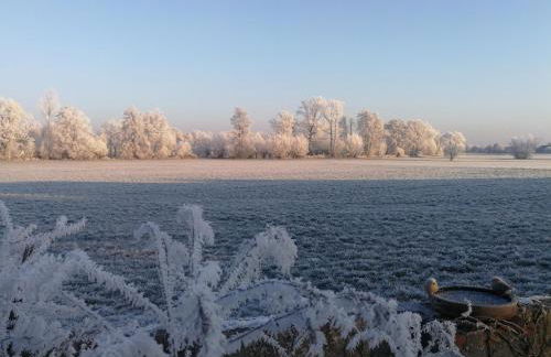 Doberschützer Hof - Foto 47