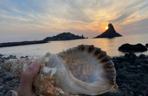 Etesia Vacation Home - Foto 66