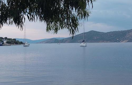 Vιtamin Sea apartment 8, Απολαυστική διαμονή στον Αλμυροπόταμο! - Foto 24