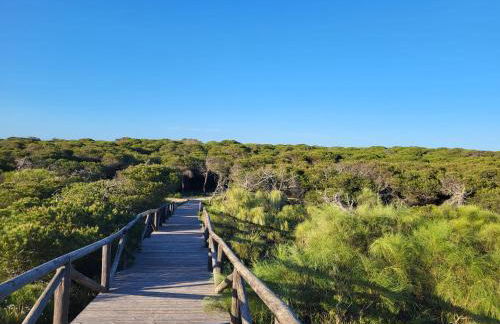ÁTICOS ROTA Punta Candor - Foto 27